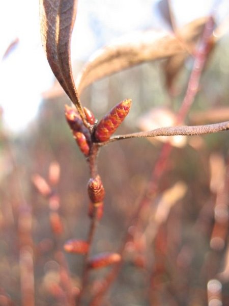 2007 02 Sortie traces 03